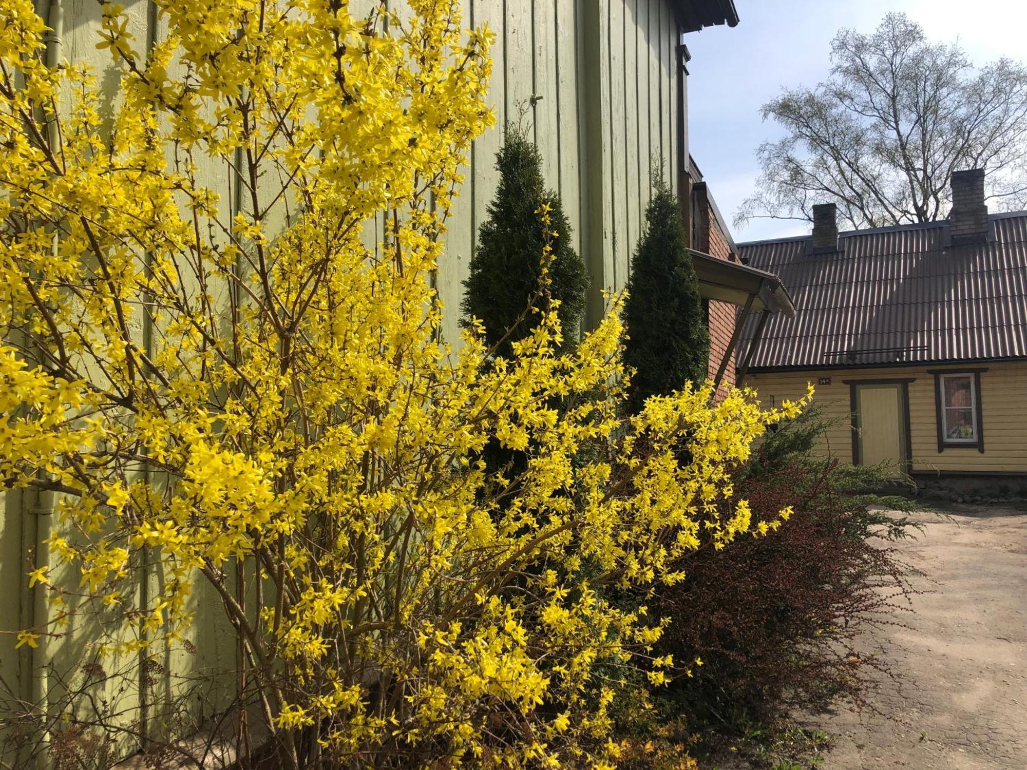 Posti Old Town Apartment Viljandi  Eksteriør billede